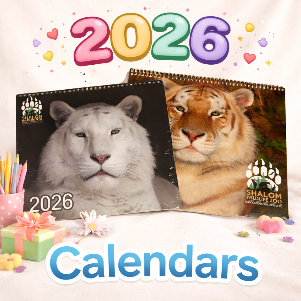2026 Calendars