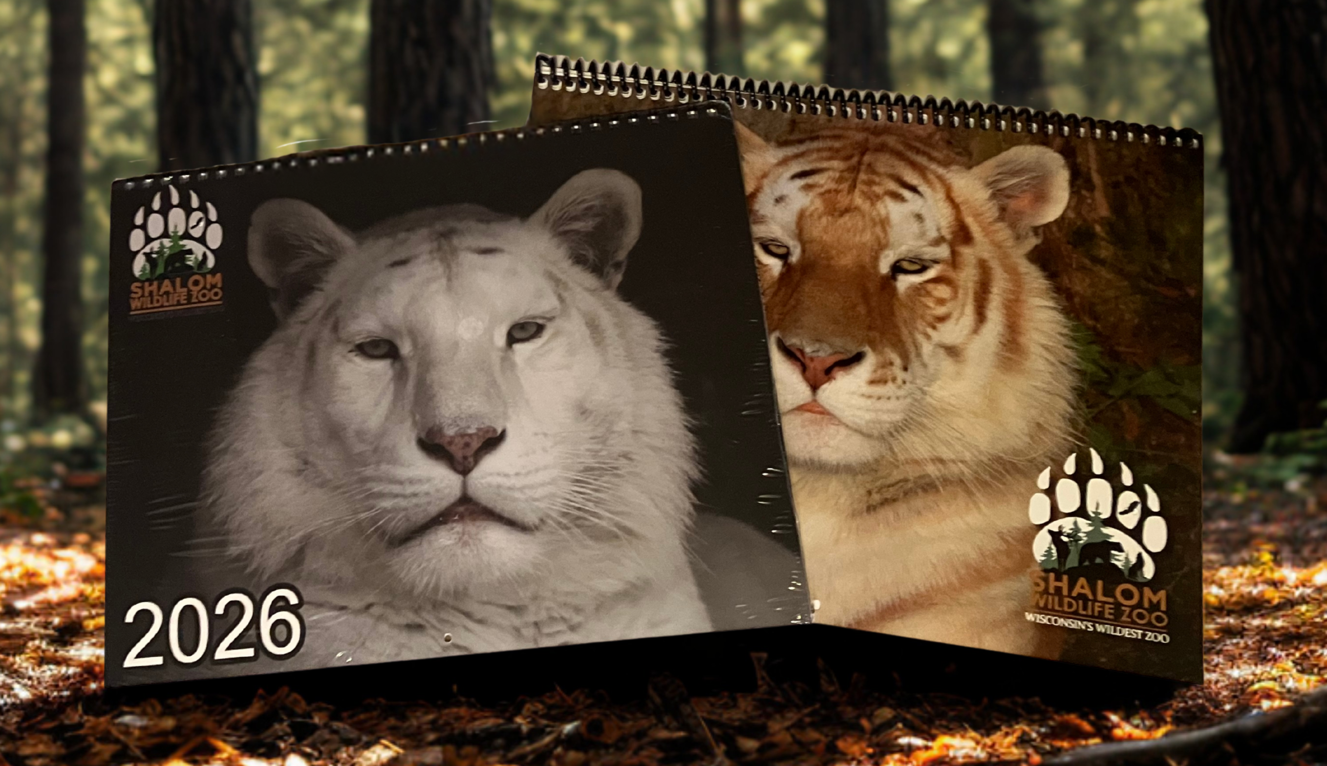 Tiger Calendars 2026