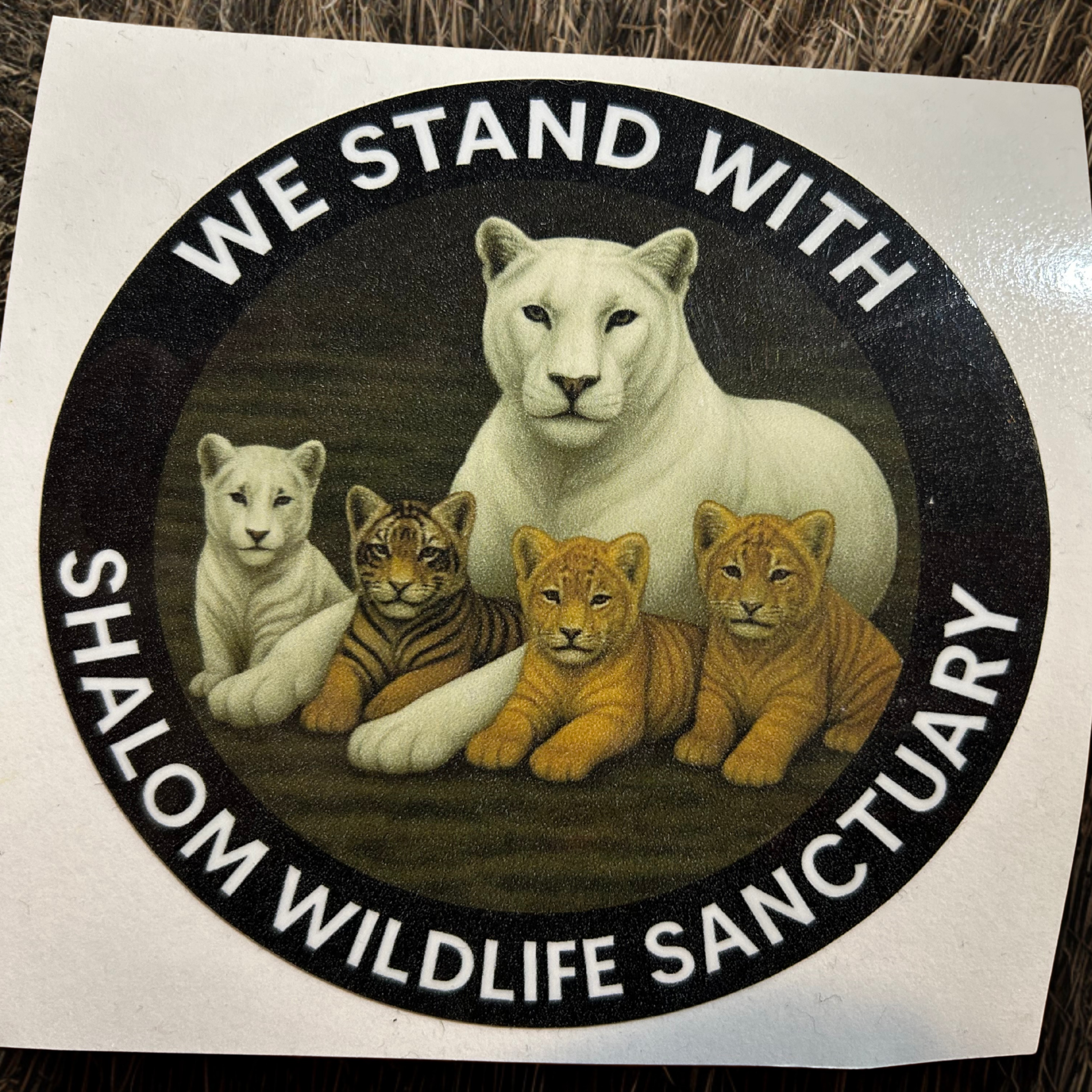 ⚡ Cyber Week Mega Supporter Bundle!