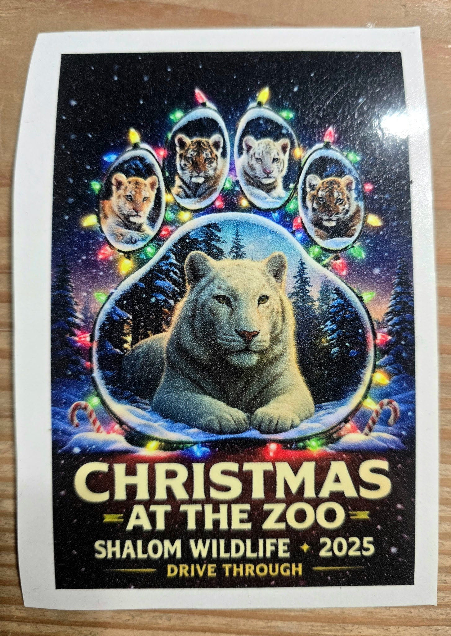 🎄 Shalom Wildlife Holiday Drive-Through Stickers