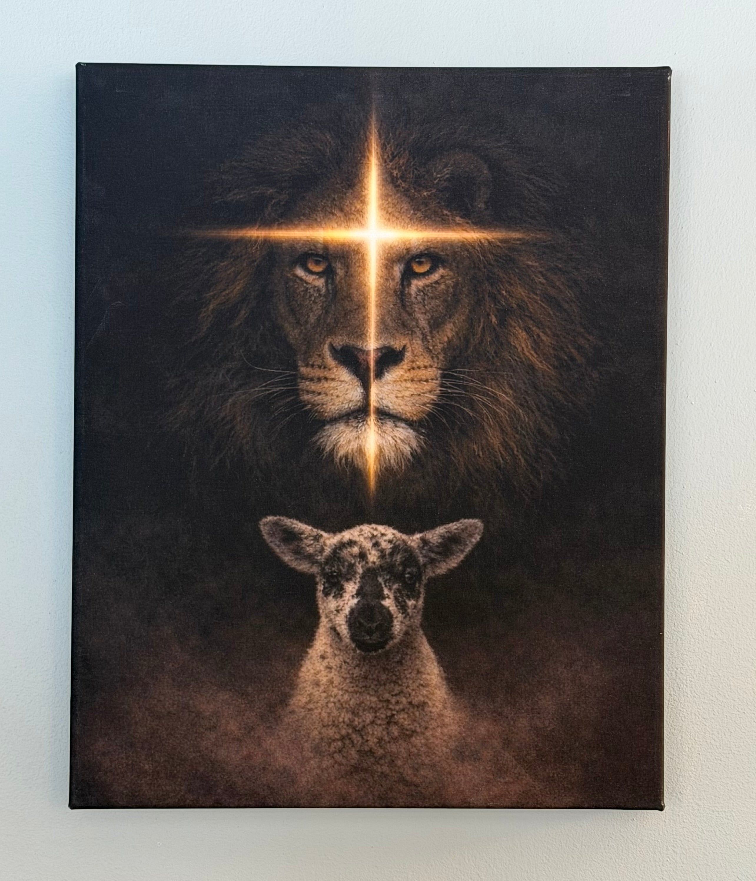 Braveheart & Freckles - The Lion and the Lamb