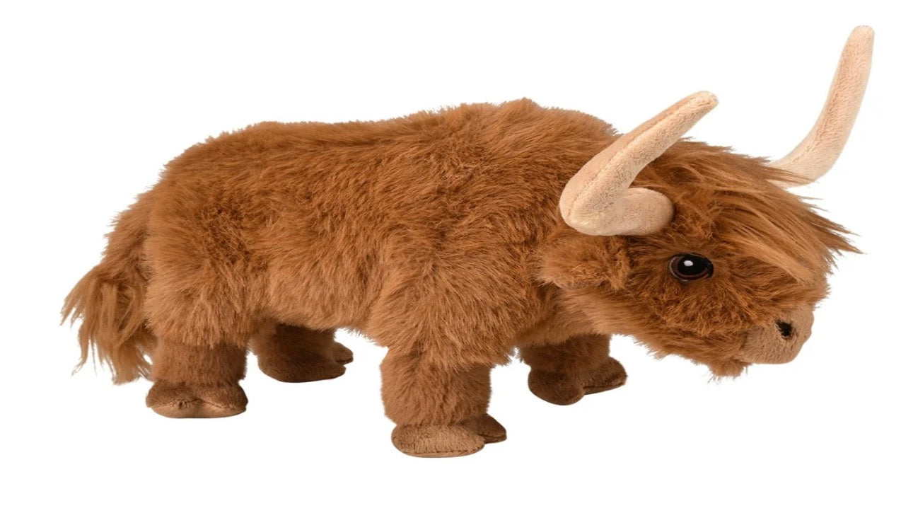 Highland Cow
