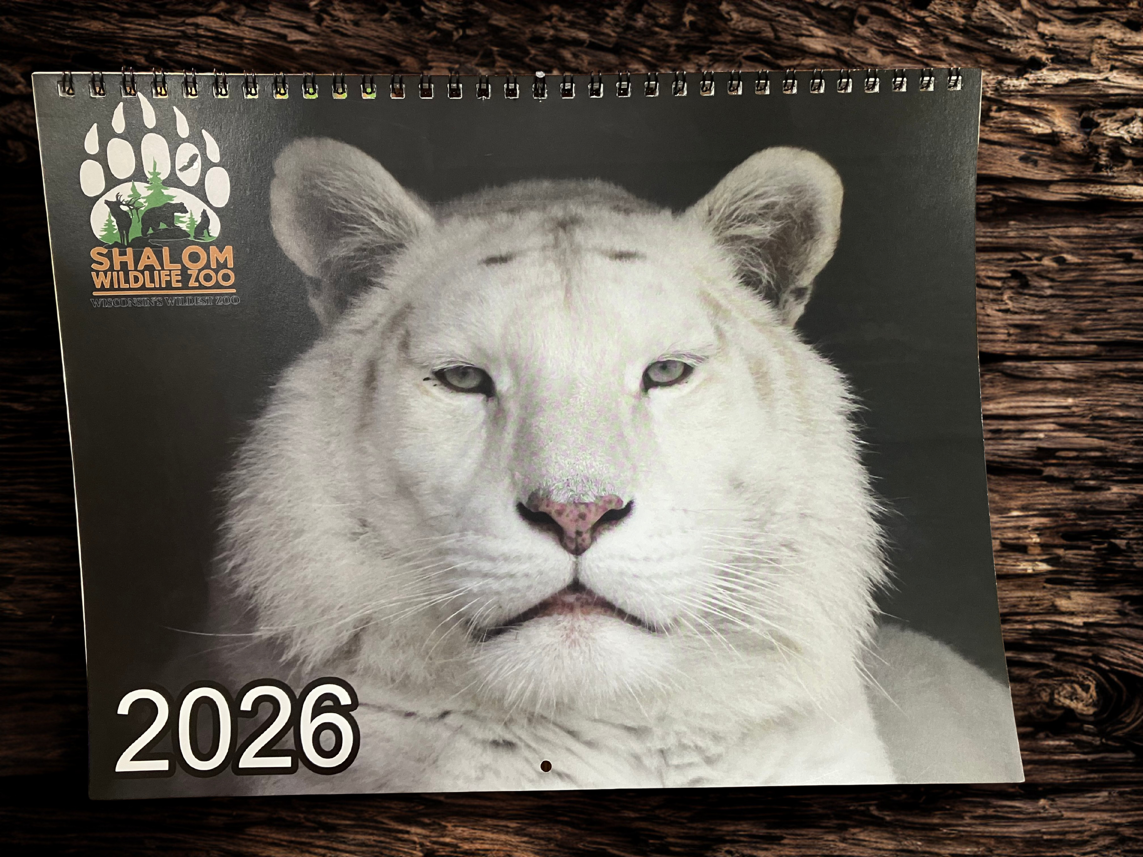 🐯 Ginger & Cubs 2026 Calendar
