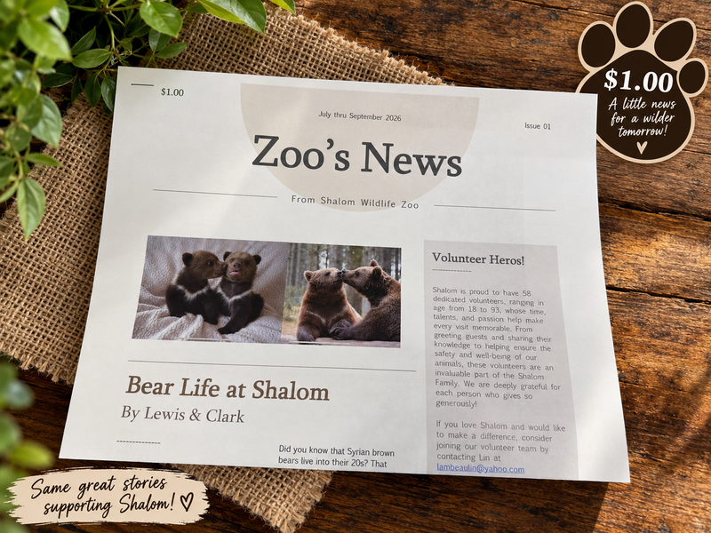 Zoo’s News: Quarterly Newsletter 🐾