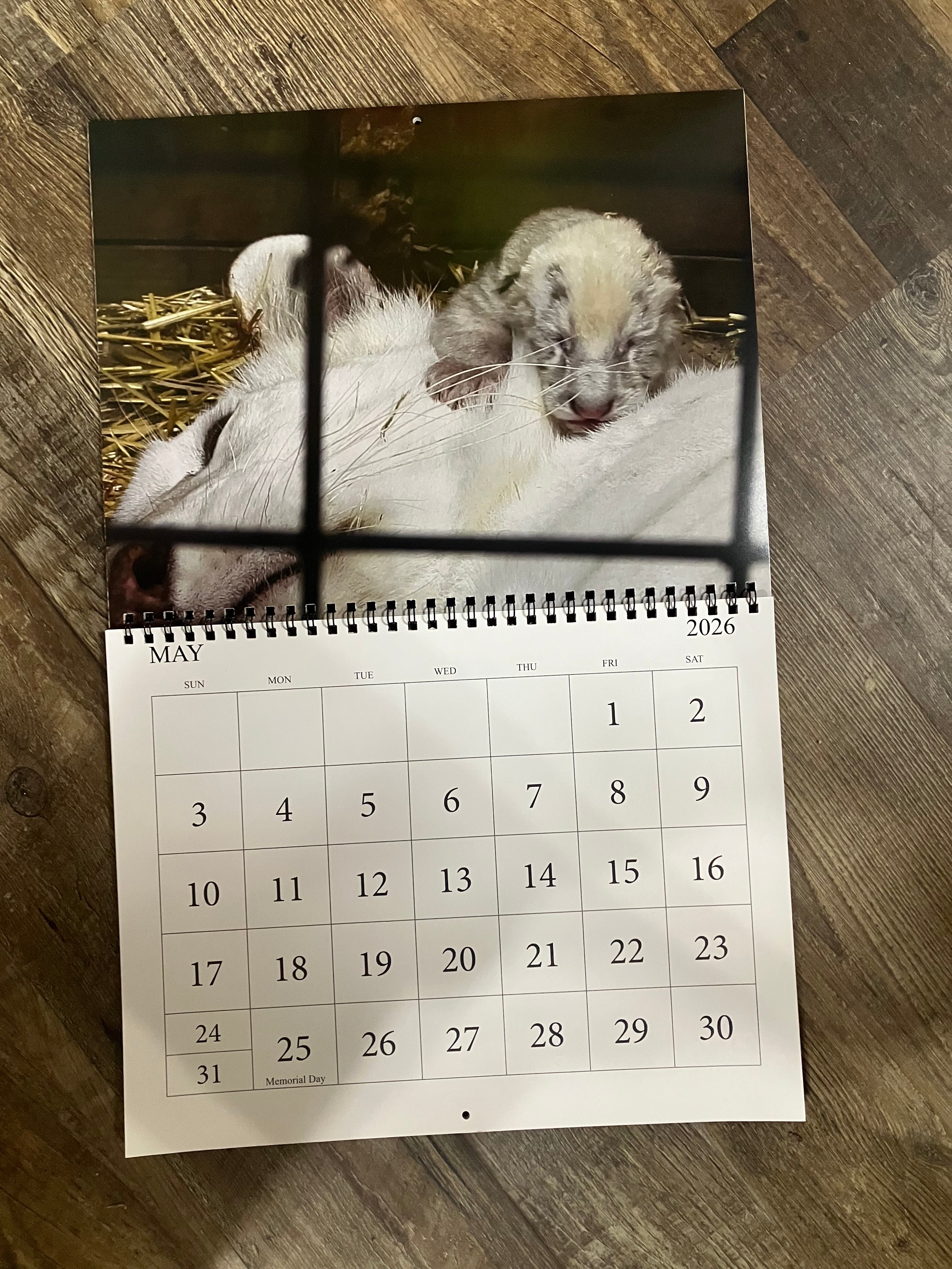 🐯 Ginger & Cubs 2026 Calendar