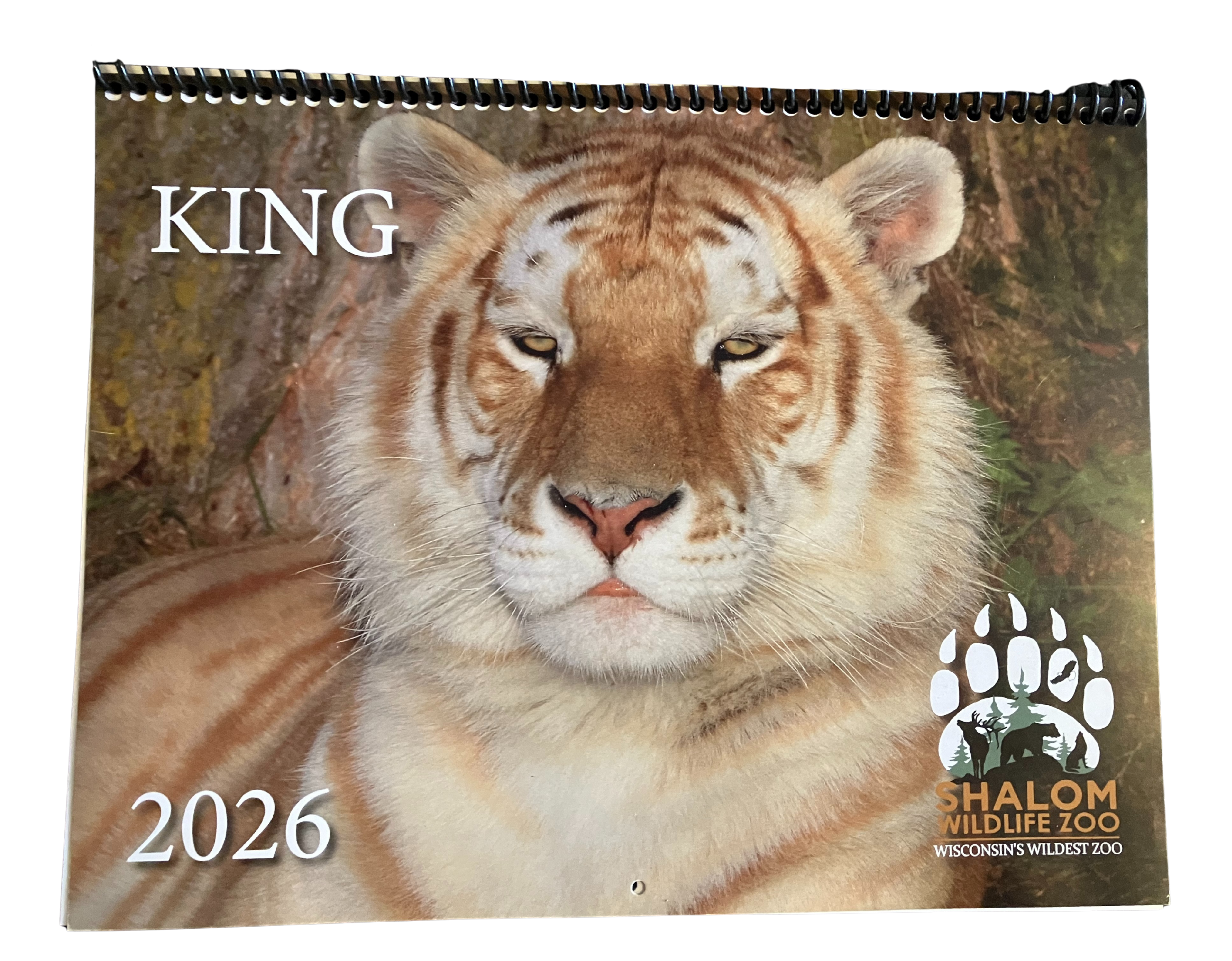 King the Golden Tiger Wildlife Calendar 2026 – Limited Edition