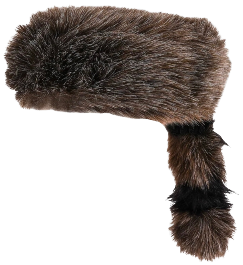 Raccoon Cap