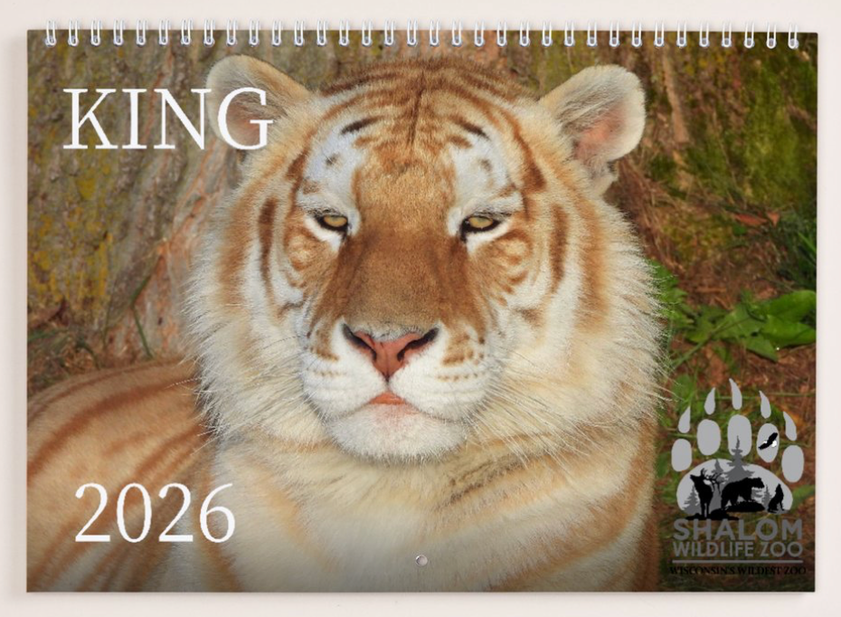 King 2026 Calendar
