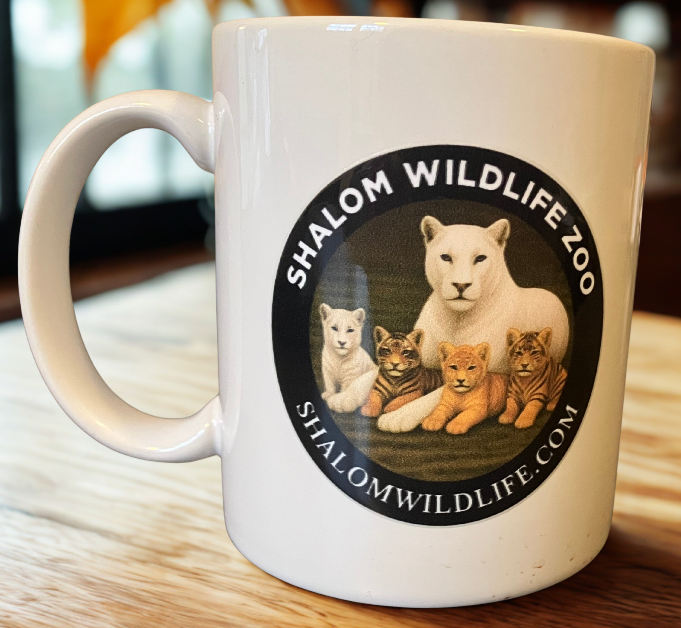 ⚡ Cyber Week Mega Supporter Bundle!