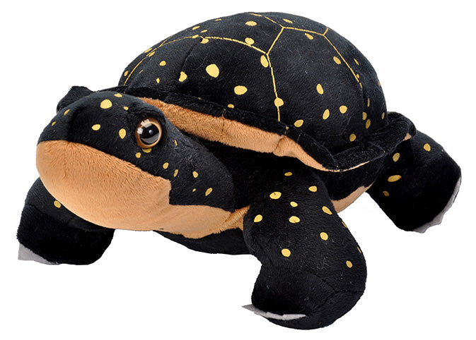 Spotted Turtle
