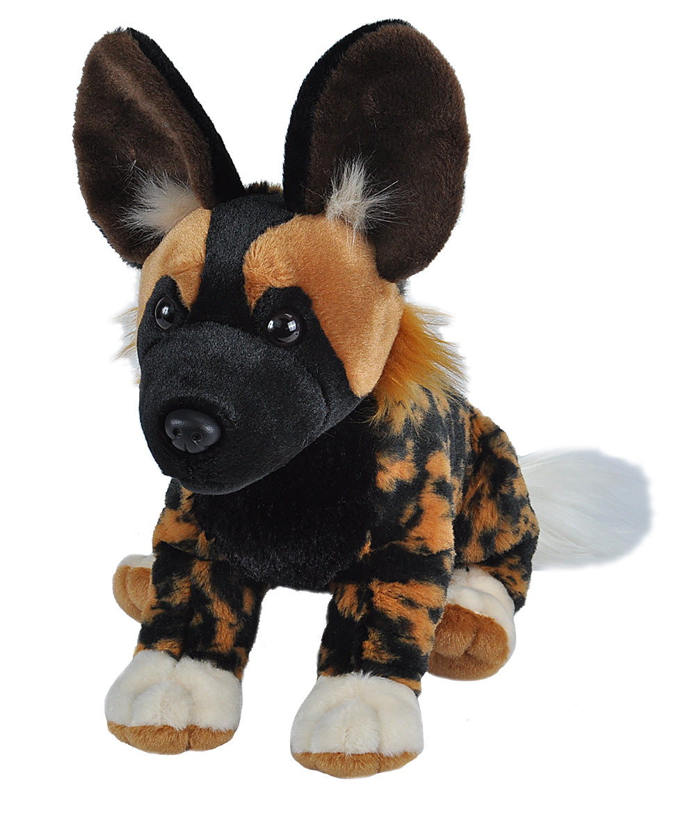 African Wild Dog