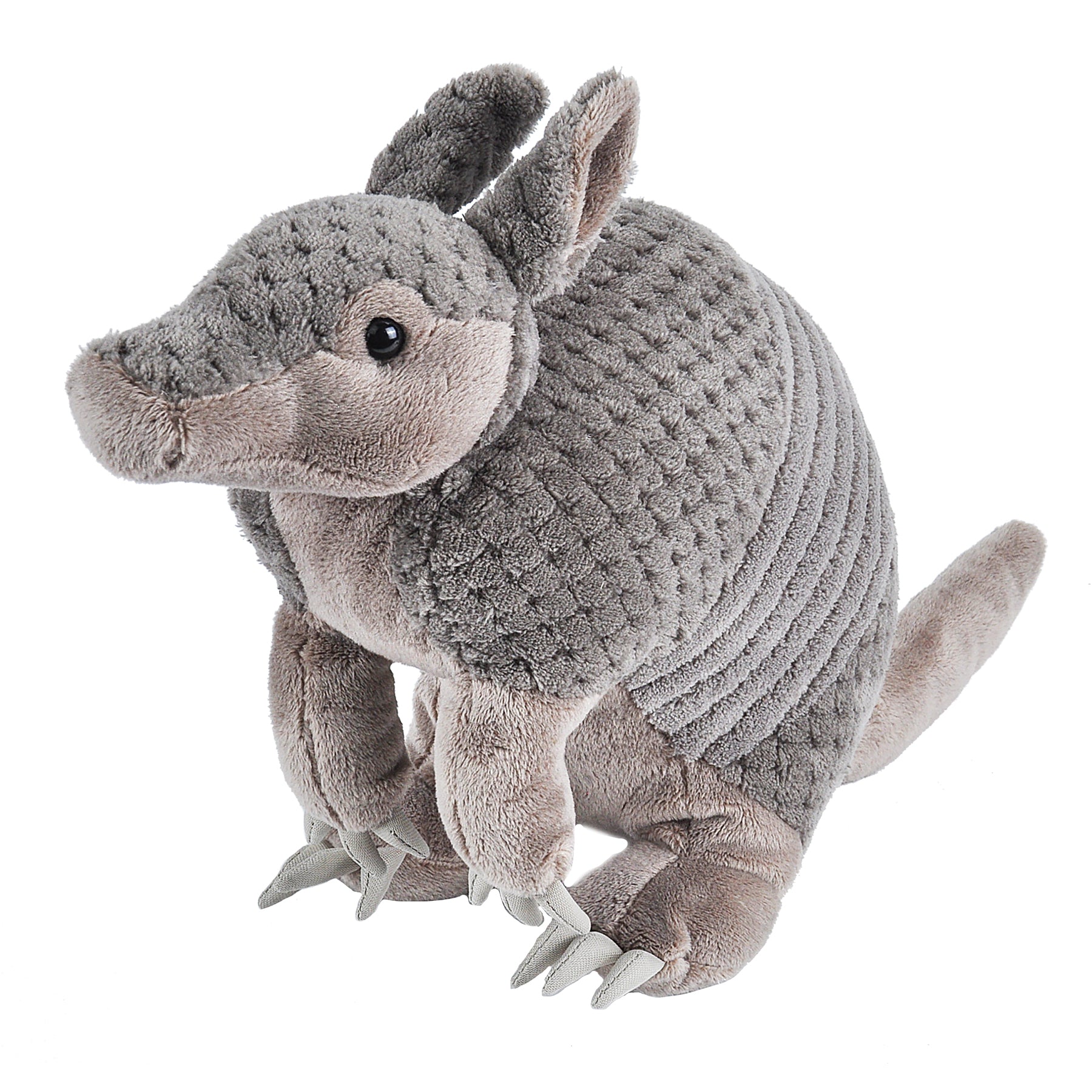 Armadillo