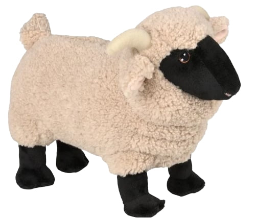 Tan Sheep