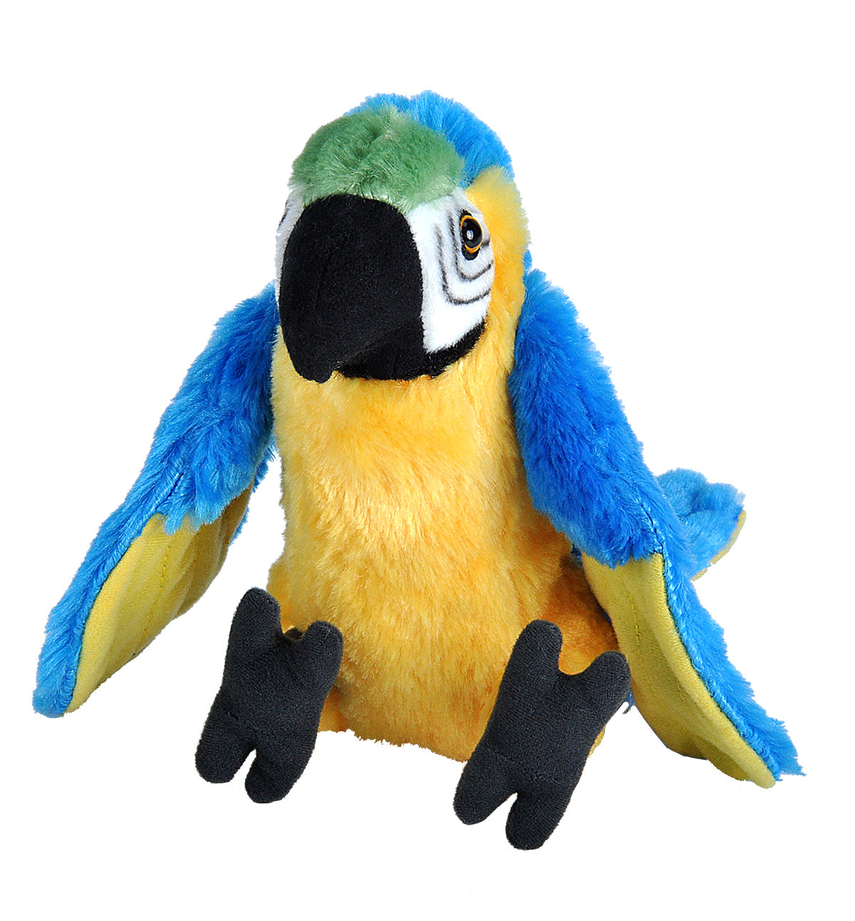 Macaw Blue and Yellow