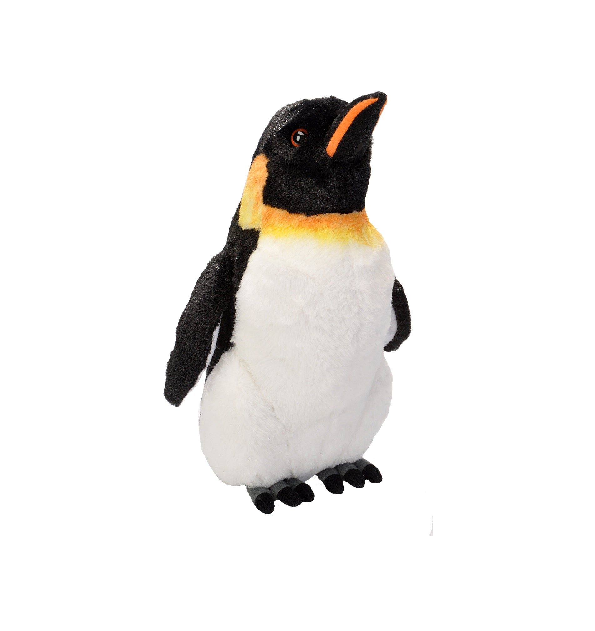 Emperor Penguin