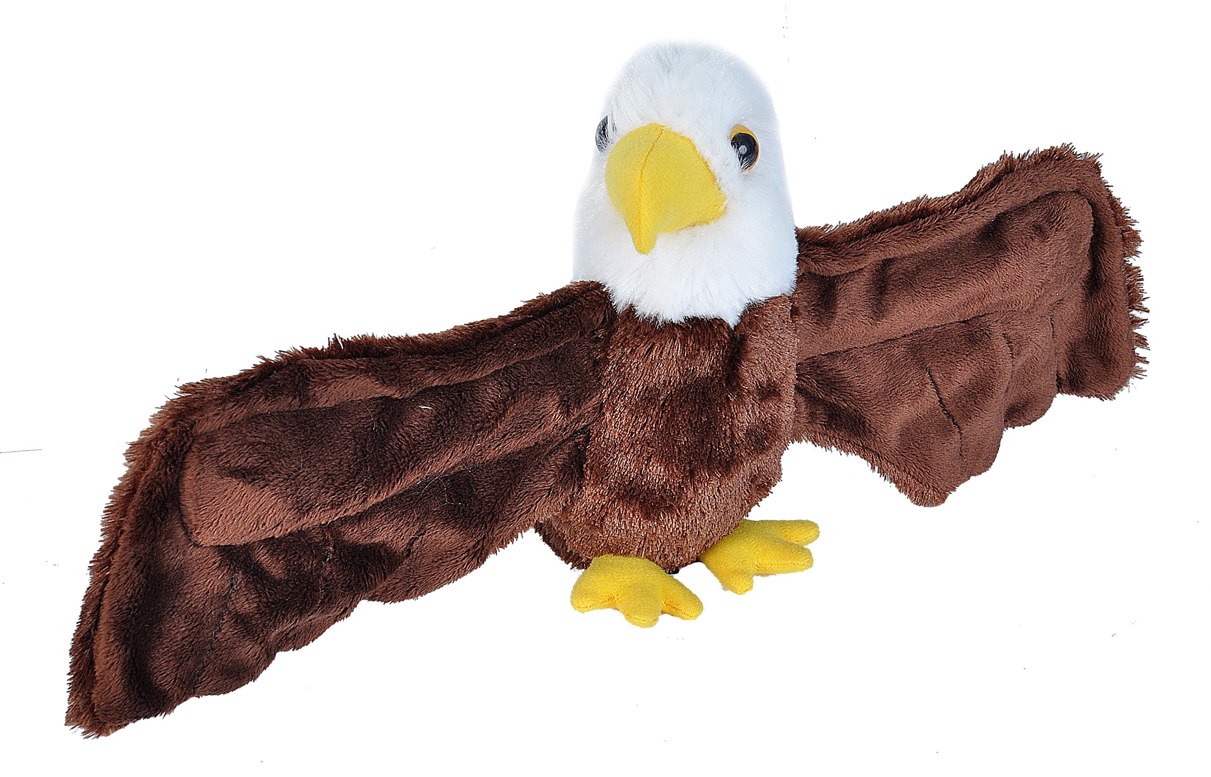 Bald Eagle Hugger