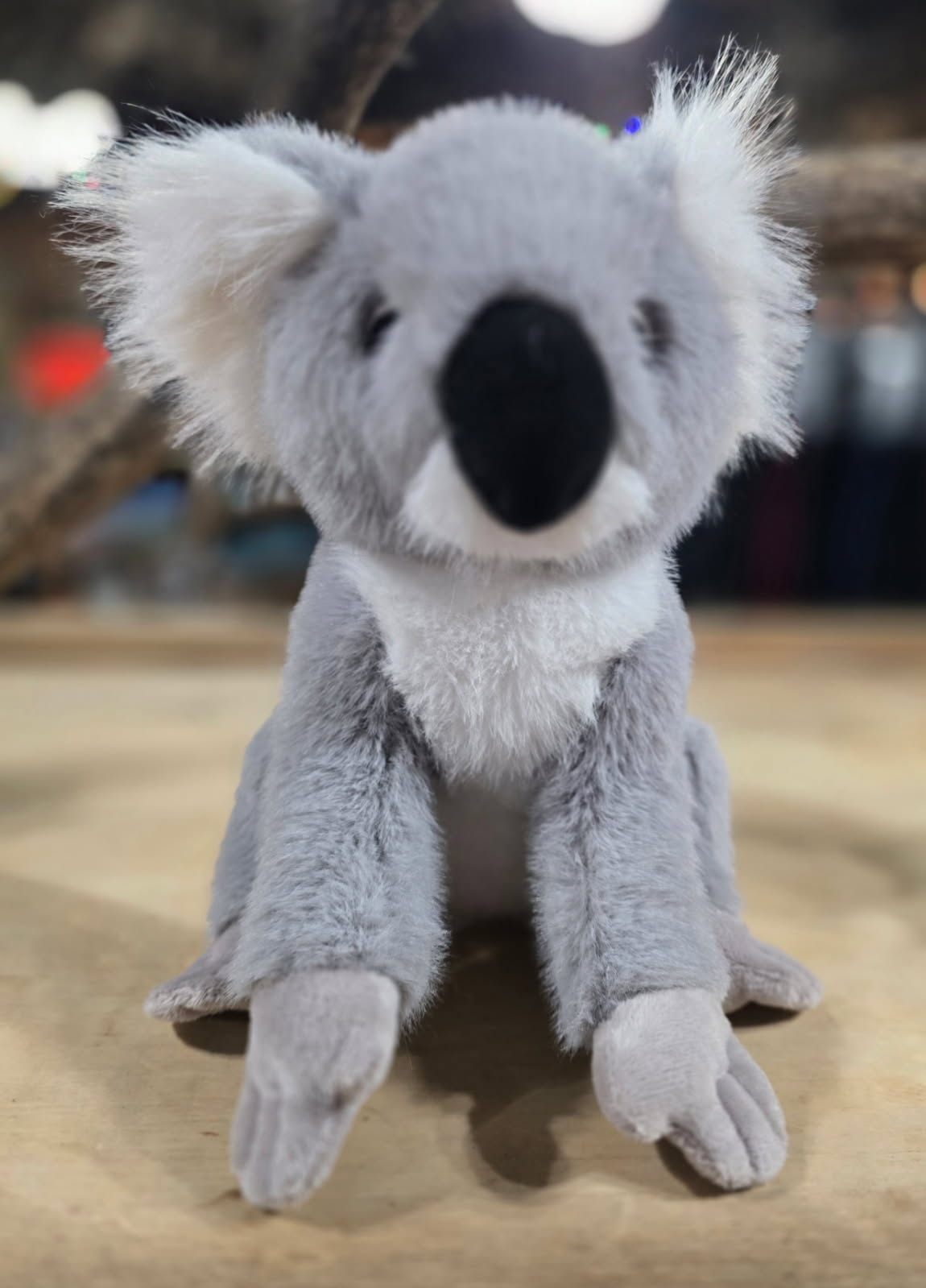 🐨 Plush Koala