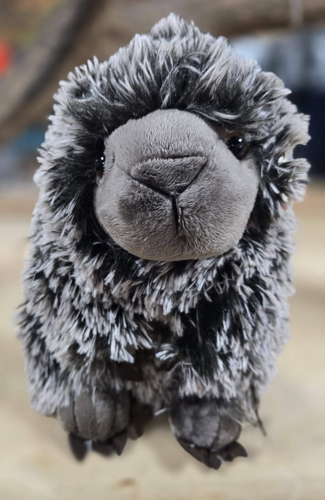 🦔 Plush Porcupine