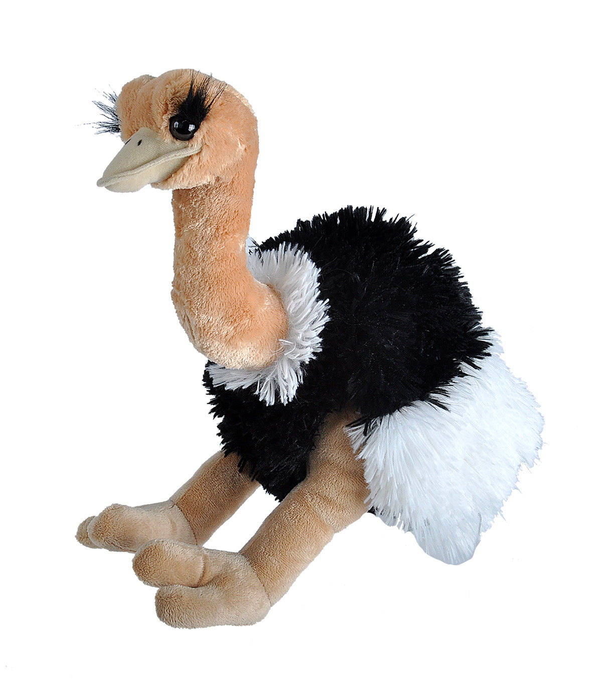 Ostrich