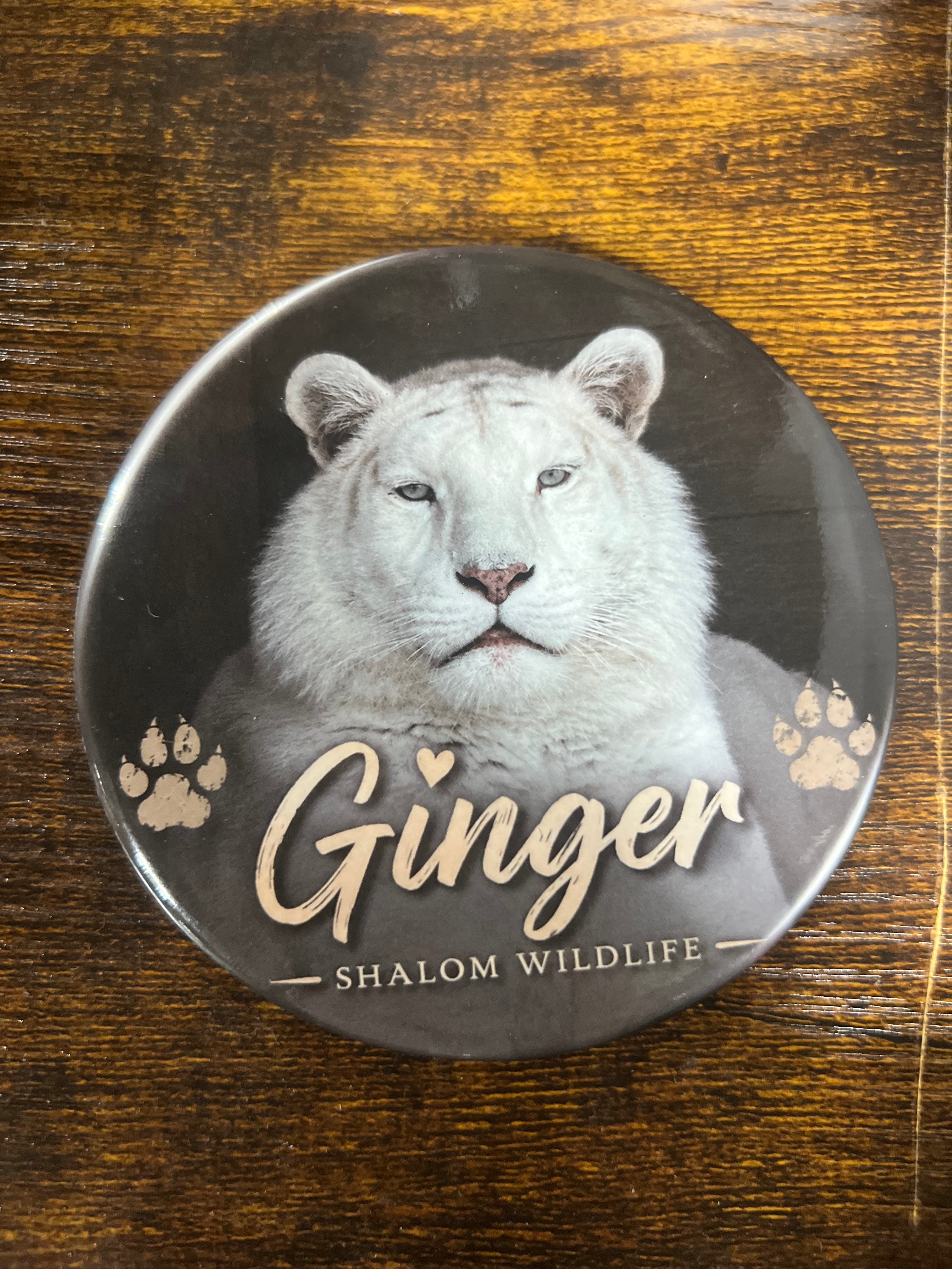 Sweet Ginger 4 Inch Button 🤍🐯