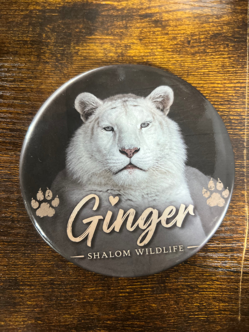 Sweet Ginger 4 Inch Button 🤍🐯