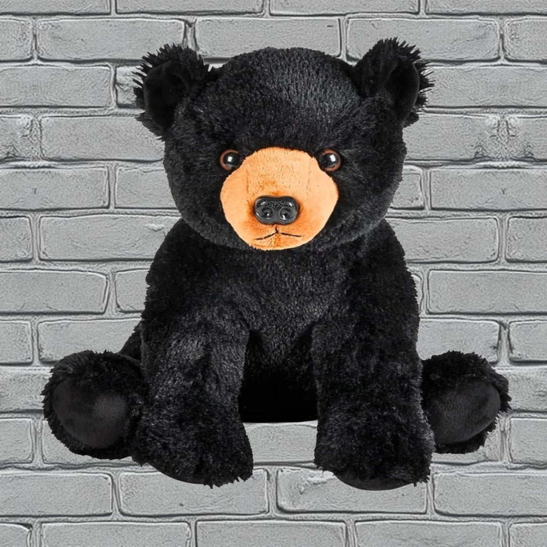 🐻 Black Bear Plush