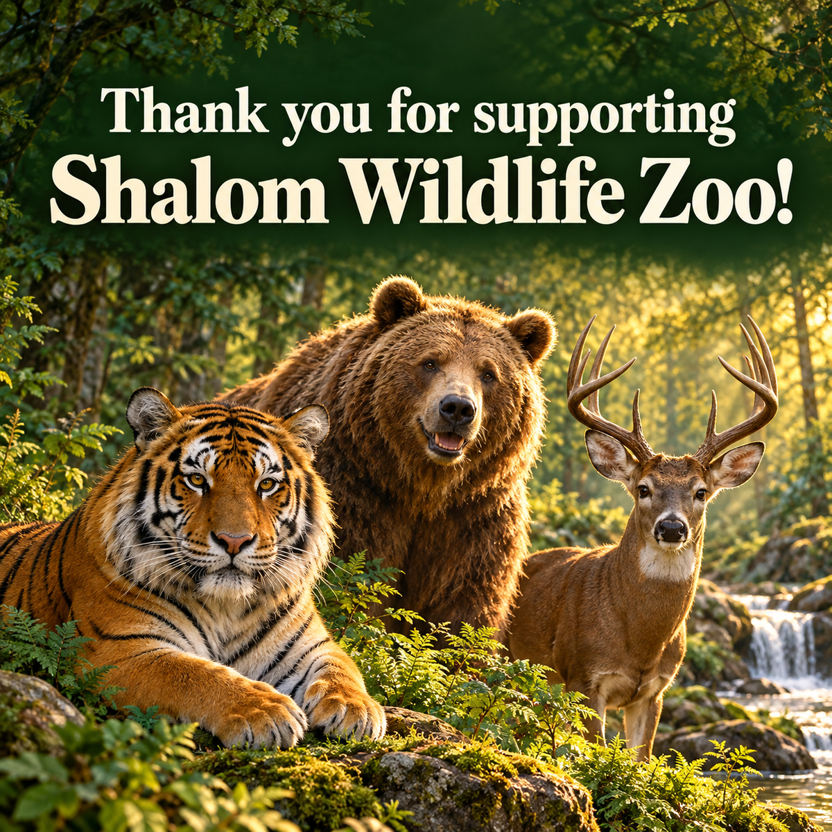 Support Shalom Wildlife