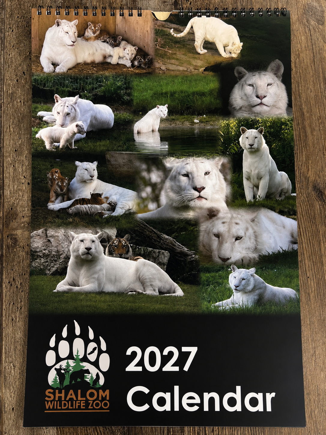 2027 Sweet Ginger Calendar