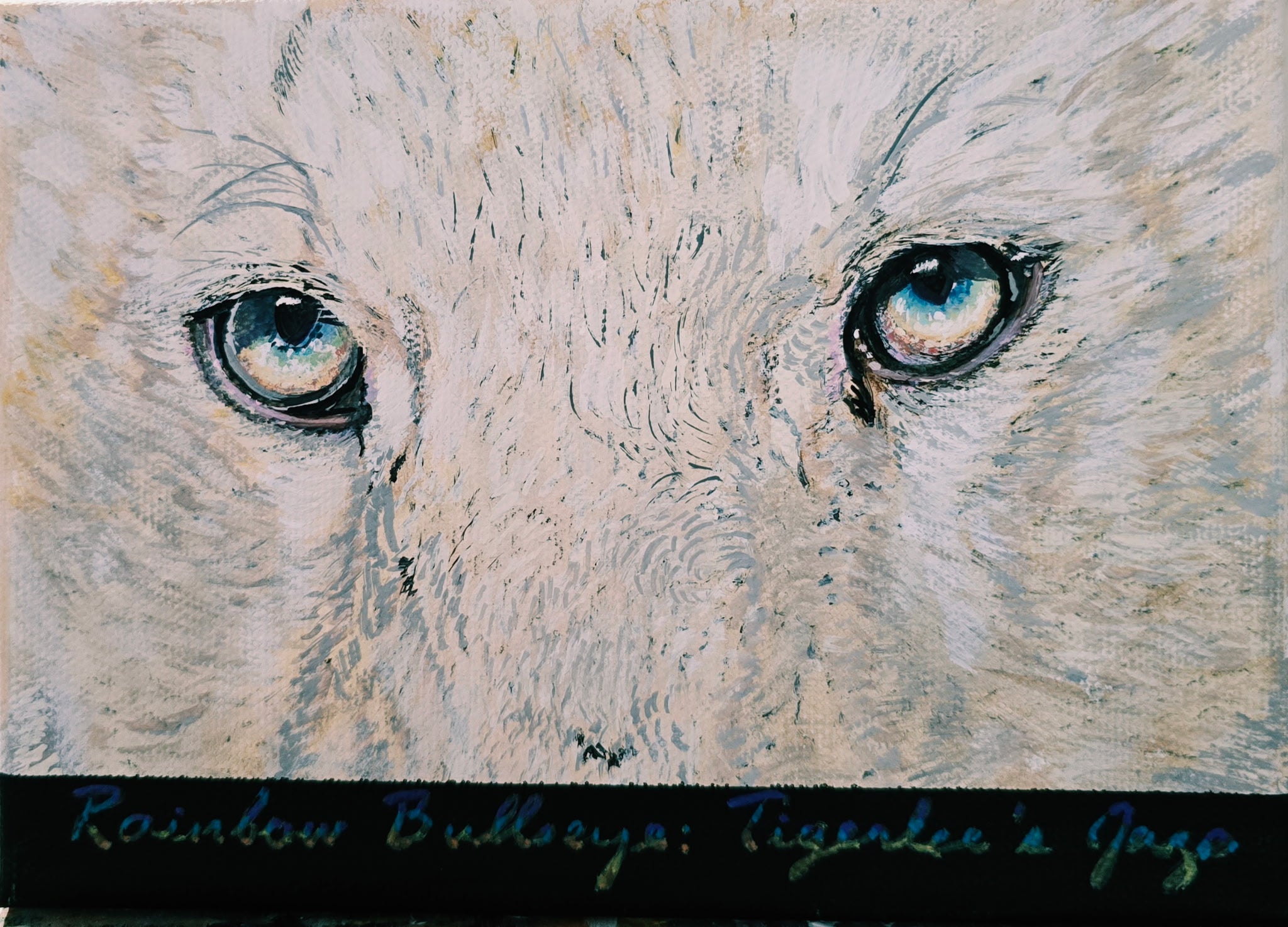 Rainbow Bullseye: Tigerlee's Gaze