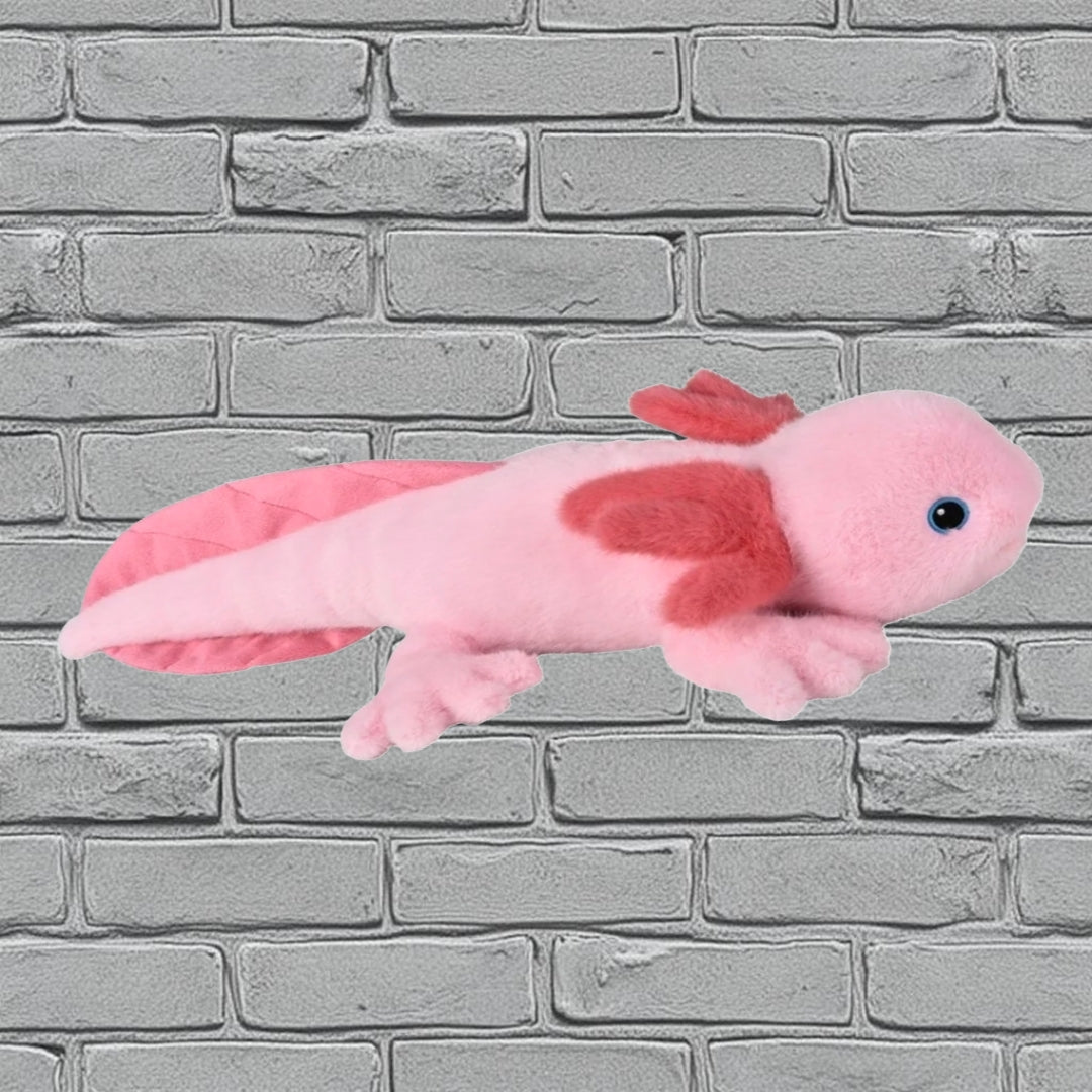 Axolotl