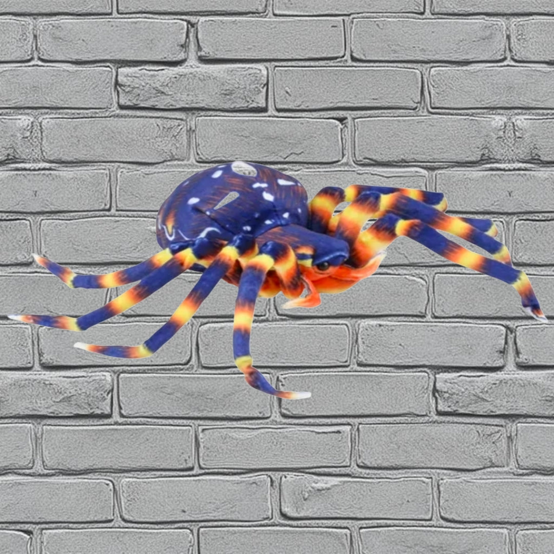 Spider