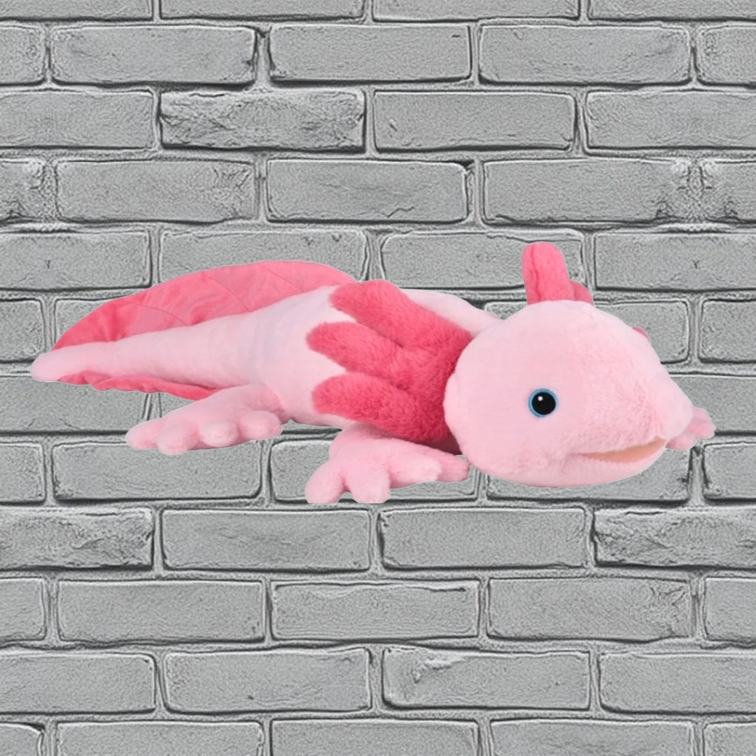 Axolotl