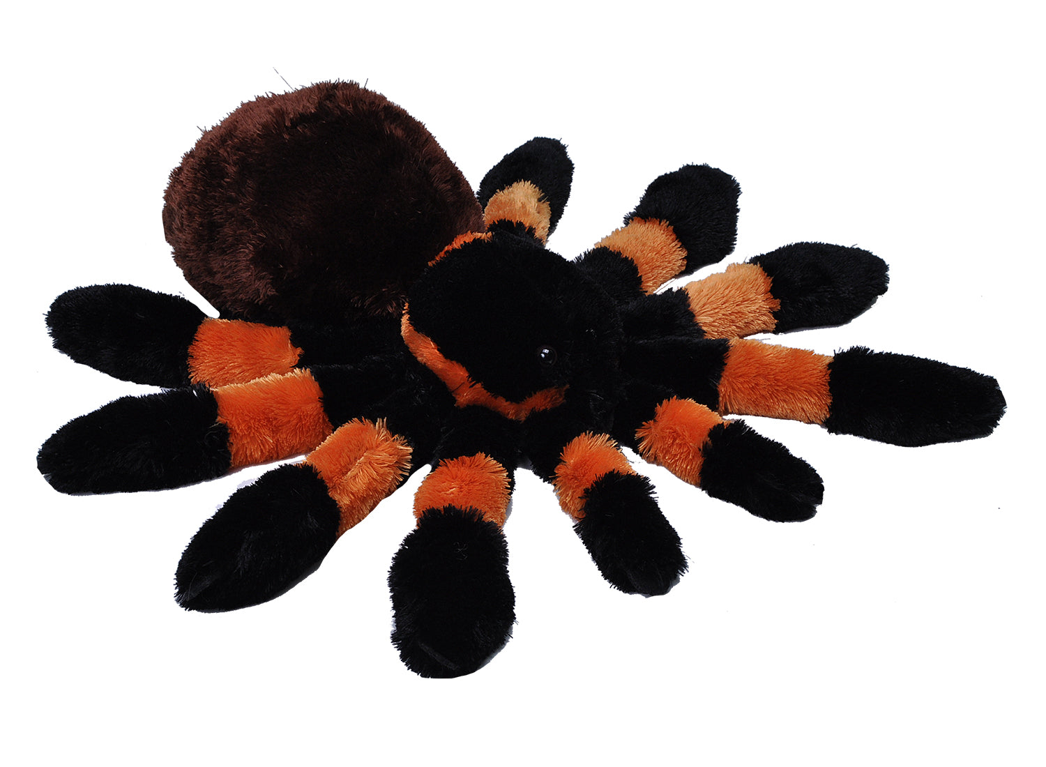 Tarantula