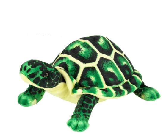 Green & Yellow Turtle